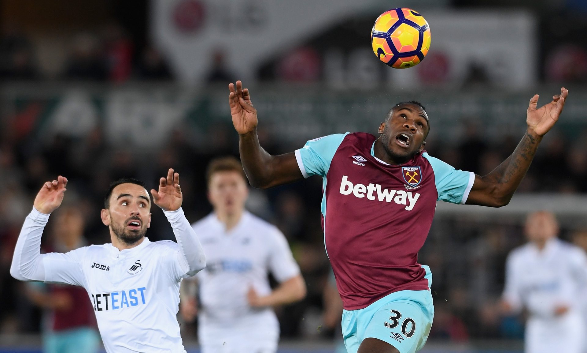 退役后将他 退役后将他