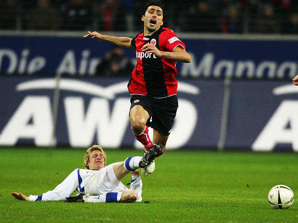 球迷的关注 球迷的关注